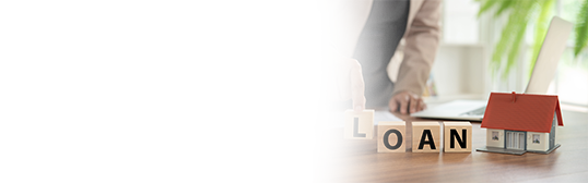 Difference between co-owner and co-borrower in Home Loan Difference between co-owner and co-borrower in Home Loan